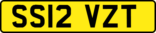 SS12VZT