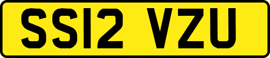 SS12VZU