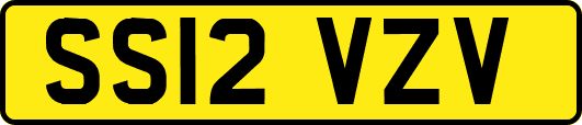 SS12VZV