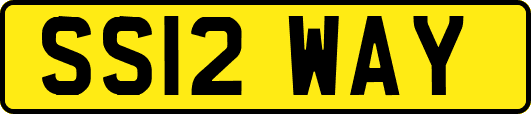 SS12WAY