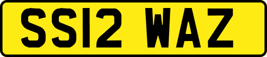 SS12WAZ
