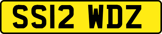SS12WDZ