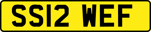 SS12WEF