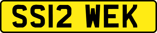 SS12WEK