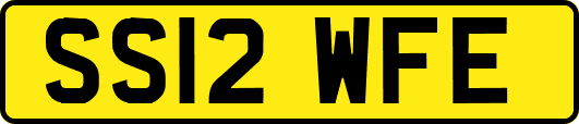SS12WFE