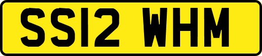 SS12WHM