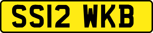 SS12WKB