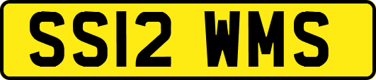 SS12WMS