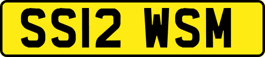 SS12WSM