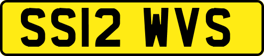 SS12WVS
