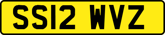 SS12WVZ