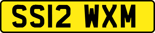 SS12WXM
