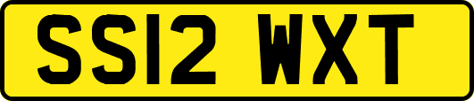 SS12WXT