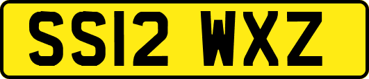 SS12WXZ