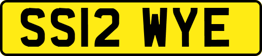 SS12WYE