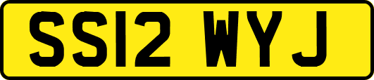 SS12WYJ