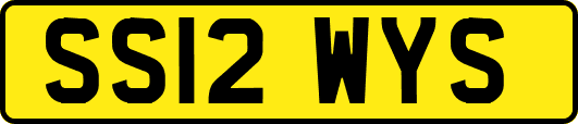 SS12WYS