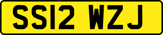 SS12WZJ