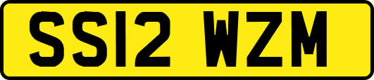 SS12WZM