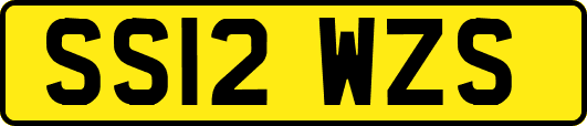 SS12WZS