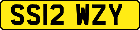 SS12WZY