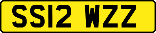 SS12WZZ