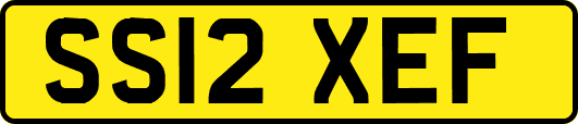 SS12XEF