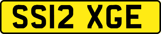 SS12XGE