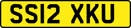 SS12XKU