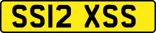 SS12XSS