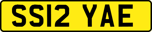 SS12YAE