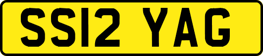 SS12YAG