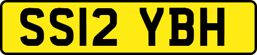 SS12YBH