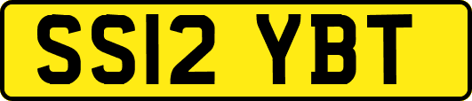 SS12YBT