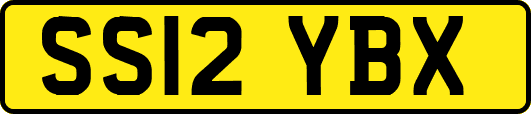 SS12YBX