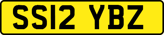 SS12YBZ