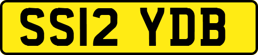 SS12YDB