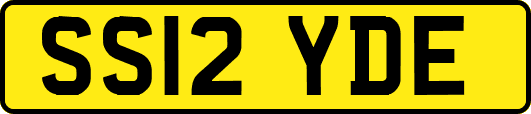 SS12YDE