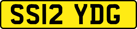 SS12YDG