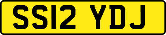 SS12YDJ