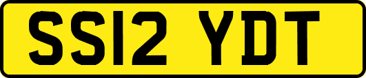 SS12YDT