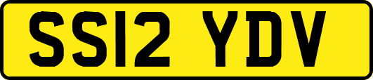 SS12YDV