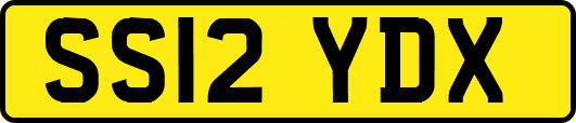 SS12YDX
