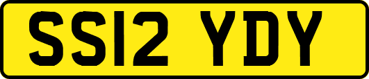 SS12YDY