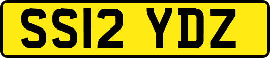 SS12YDZ