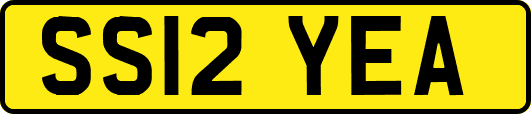 SS12YEA