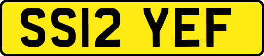 SS12YEF