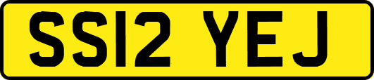 SS12YEJ