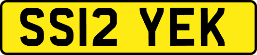 SS12YEK