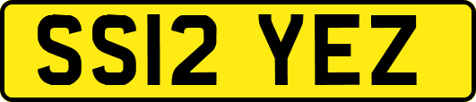 SS12YEZ